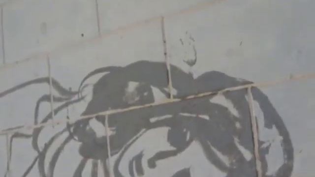 Chinese Culture in Beihai Park, Beijing смотреть онлайн