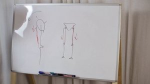 Скрученный таз.Фрагмент видеокурса.