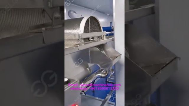 Celery Washing Machine For Salad Processing Machine