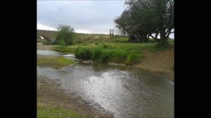 Локтевский район Алтайский край