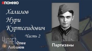 Халилов Нури Куртсеидович. Часть 2. Проект "Я помню" Артема Драбкина. Партизаны.