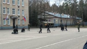Батальон оперативного резерва,купавна " солнечная весна"