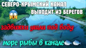 Что творится с Северо-Крымским каналом?Переполнен и выходит из берегов.Затопило задвижки гидроузла