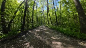 Просто природа, релакс