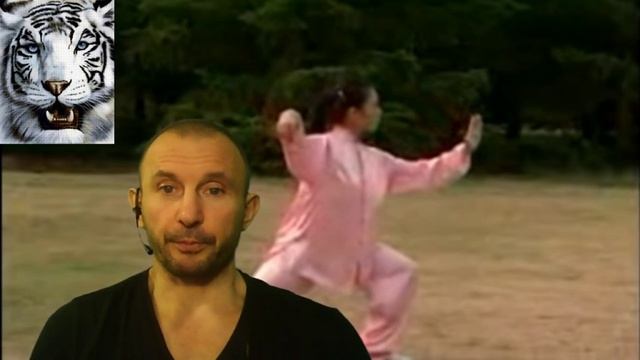 Техника и методики тайдзи.