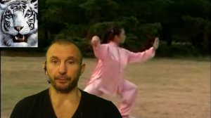 Техника и методики тайдзи.