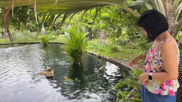 MIAMI BEACH BOTANICAL CENTER |MIAMI BEACH BOTANICAL GARDEN |SOUTH MIAMI HSTORICAL LANDMARK