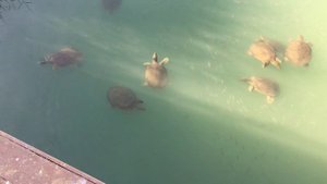 Отдых в Турции 2023 - 4 серия. Отель Serra Garden. 1 сентября 2023 года, у Кати день рождения, нам у