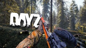 ДОРОГА НА СЗ В DAYZ BOREALIS \ ПЕРВАЯ ЖЕРТВА НА PODPIVAS BOREALIS \ PODPIVAS BOREALIS В DAYZ