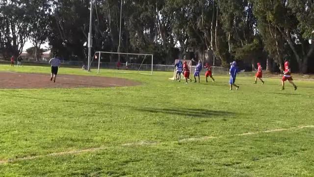 LAHS vs Palma 3-11-13 Goals смотреть онлайн