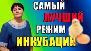 Вывод цыплят. Самый лучший режим инкубации