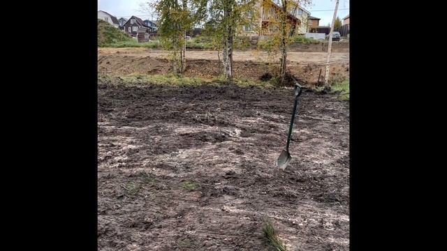 СОСЕДИ В ШОКЕ. ОСУШИЛИ УЧАСТОК В БОЛОТЕ #дом #дренаж #строительство #сад #kubota #дачныйвлог #jcb