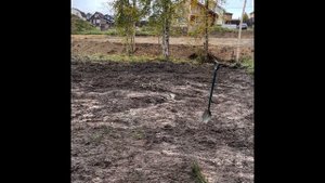СОСЕДИ В ШОКЕ. ОСУШИЛИ УЧАСТОК В БОЛОТЕ #дом #дренаж #строительство #сад #kubota #дачныйвлог #jcb