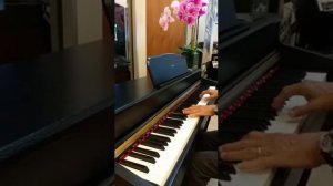 Musica Digital Piano BL-8803 新不了情