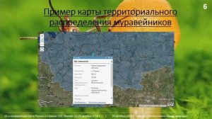 Информационное обеспечение проекта "Monitoring Formica" в европейской части России. ННГУ