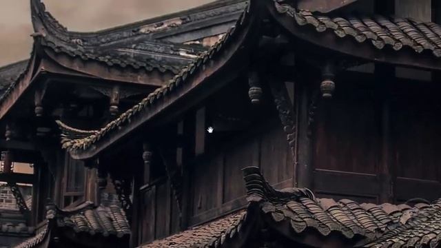 COMO APLICAR ZOOM UTILIZANDO O TECLADO NO PHOTOSHOP смотреть онлайн