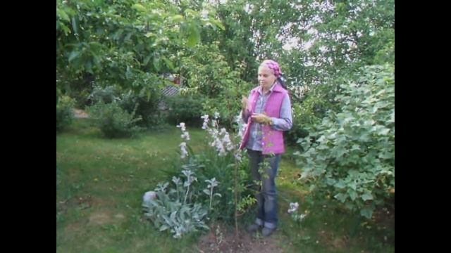 Итоги моей весны смотреть онлайн