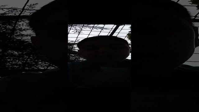 новая площадка цветной бульвар смотреть онлайн