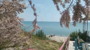 Рыбалка и отдых на базах отдыха. Приморск. Бердянск.