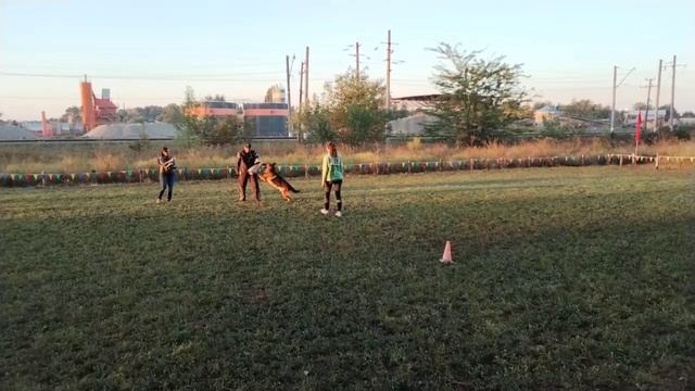 EZ BAX v. Haus Gesa (Gondor v. Regina Pacis – Hera v. Holter Hof) 23 +++