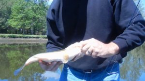 RIVER FISHING TIPS FOR BIG BASS NANTICOKE RIVER DELAWARE