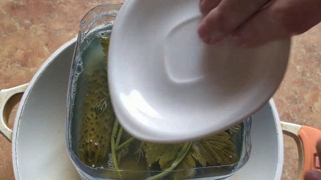 Соленые огурцы как бочковые на зиму