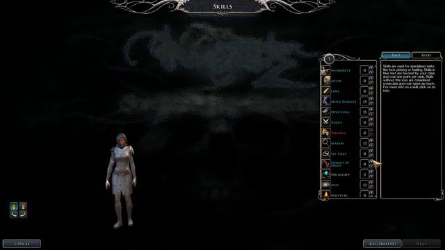 Neverwinter Nights 2 Dual Wielding Shadow Nightmare Rogue Shadowdancer Fighter Build
