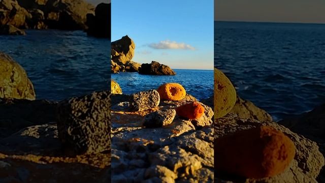 Осколки древней керамики и окаменевшие кораллы на Диком пляже. Крым. Январь.