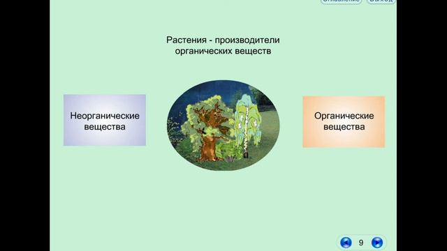 Мир природы. Познавательные материалы об окружающем мире. Игра#6. Финал. смотреть онлайн