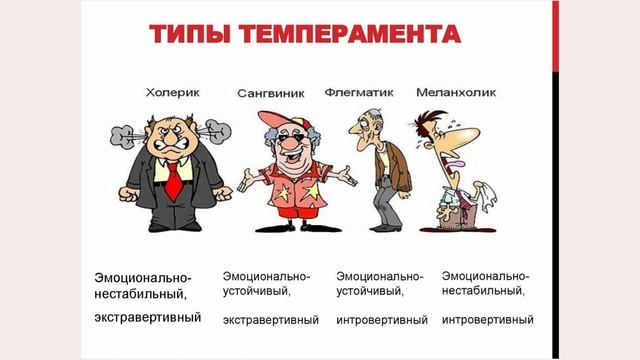 Типы темпераментов