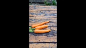Брюква. Готовим вкусное пюре из брюквы.