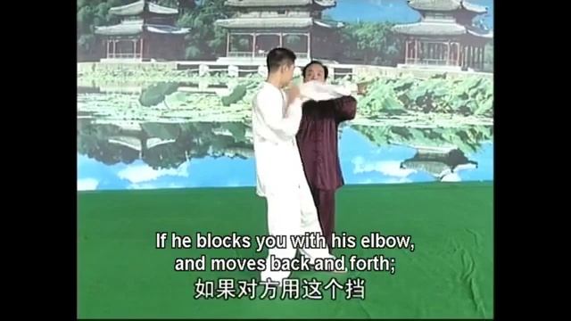 Боевое применение Чэн ши багуачжан, мастер Ма Линьчэн / Cheng Style Baguazhang San Shou смотреть онлайн