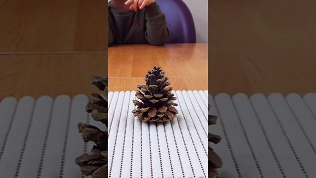 ФОНЕМАТИЧЕСКОЕ УПРАЖНЕНИЕ ?ШИШКА? смотреть онлайн