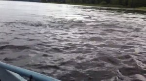 Вуокса.Шлюз Гремучий.Спиннинг,спиннинг и судак