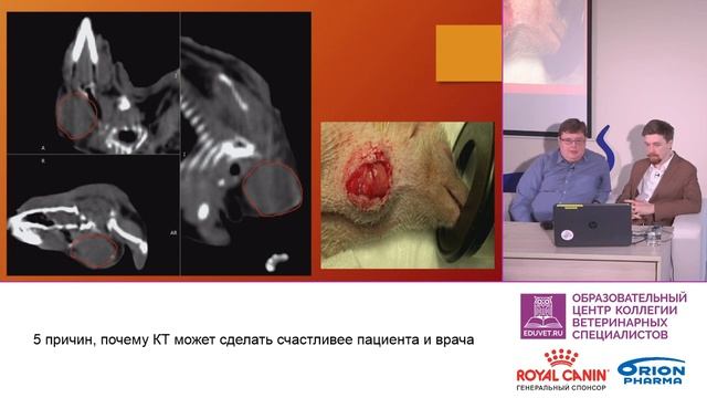 5 причин, почему КТ может сделать счастливее пациента и врача
