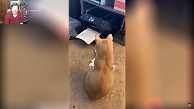 Люди, мертвые внутри #113 RUS VO РЕАКЦИЯ смотреть онлайн