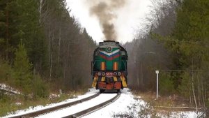 Обитатель леса ТЭМ2-5272 с грузовым составом и встречный 2ТЭ116 с грузовым поездом