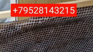 Обмен старой суши на вощину. Краснодарский край Станица Тбилисская.