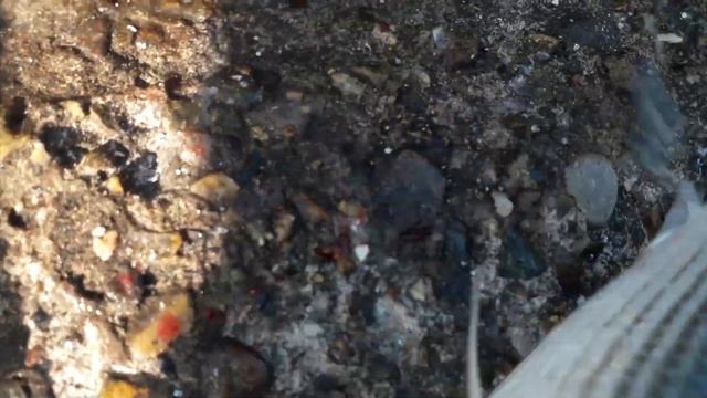 Рыбалка в Сочи с берега в феврале. Кефаль смотреть онлайн