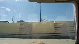 в городском автобусе