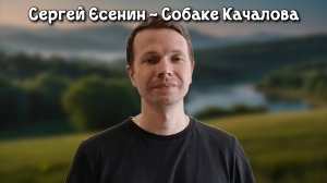 Сергей Есенин - Собаке Качалова (читает Некрасов Алексей)