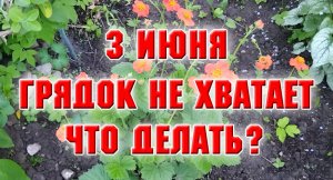 3 июня. Грядок не хватает, сажаю в мешки.mp4