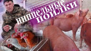 ниппельные поилки для свиней (1).mp4