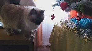 17 января 2024 г.