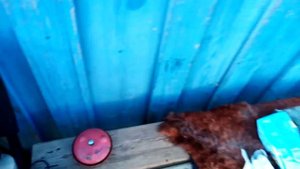 Обзор колонки Genius SW-G2.1 1200