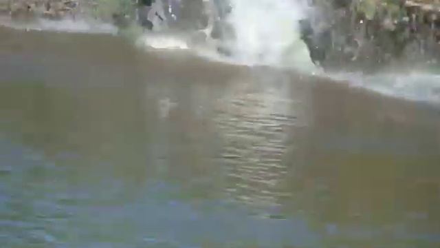 Леопард на охоте смотреть онлайн