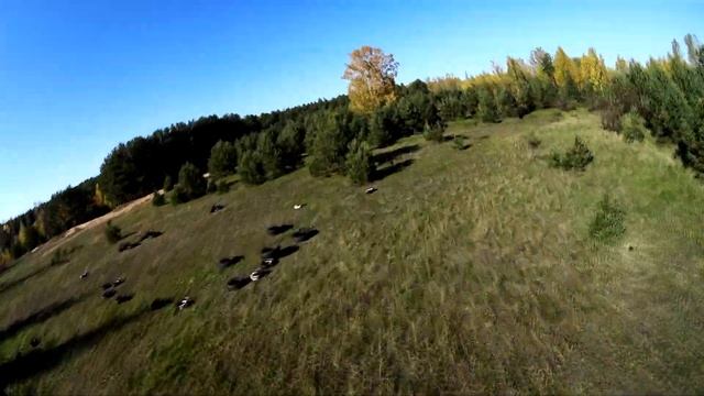 FPV полёт в парке Мазурино смотреть онлайн