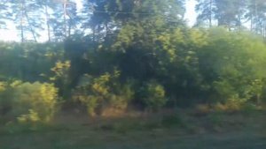 Поезд Харьков-Херсон/ Вид из окна поезда