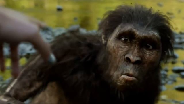 ОдноНо-Преображение (by ShapovaLOVEa) смотреть онлайн