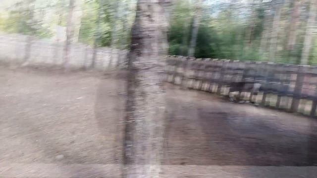 Петербург туристический. Пасторское озеро ч 2